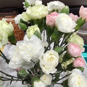 Meet your Posher, Karyn